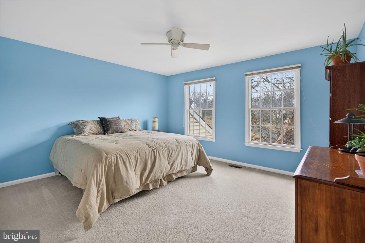 8 Stallion Circle photo 49