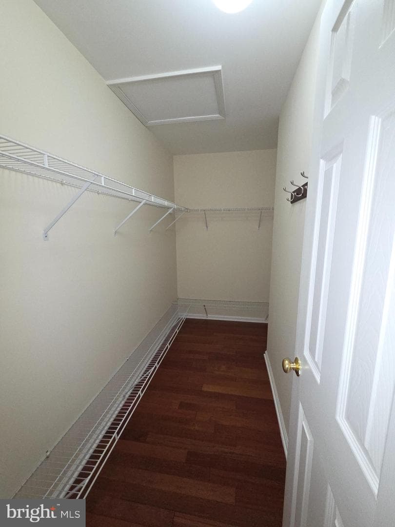 3406 Sterling Road photo 22