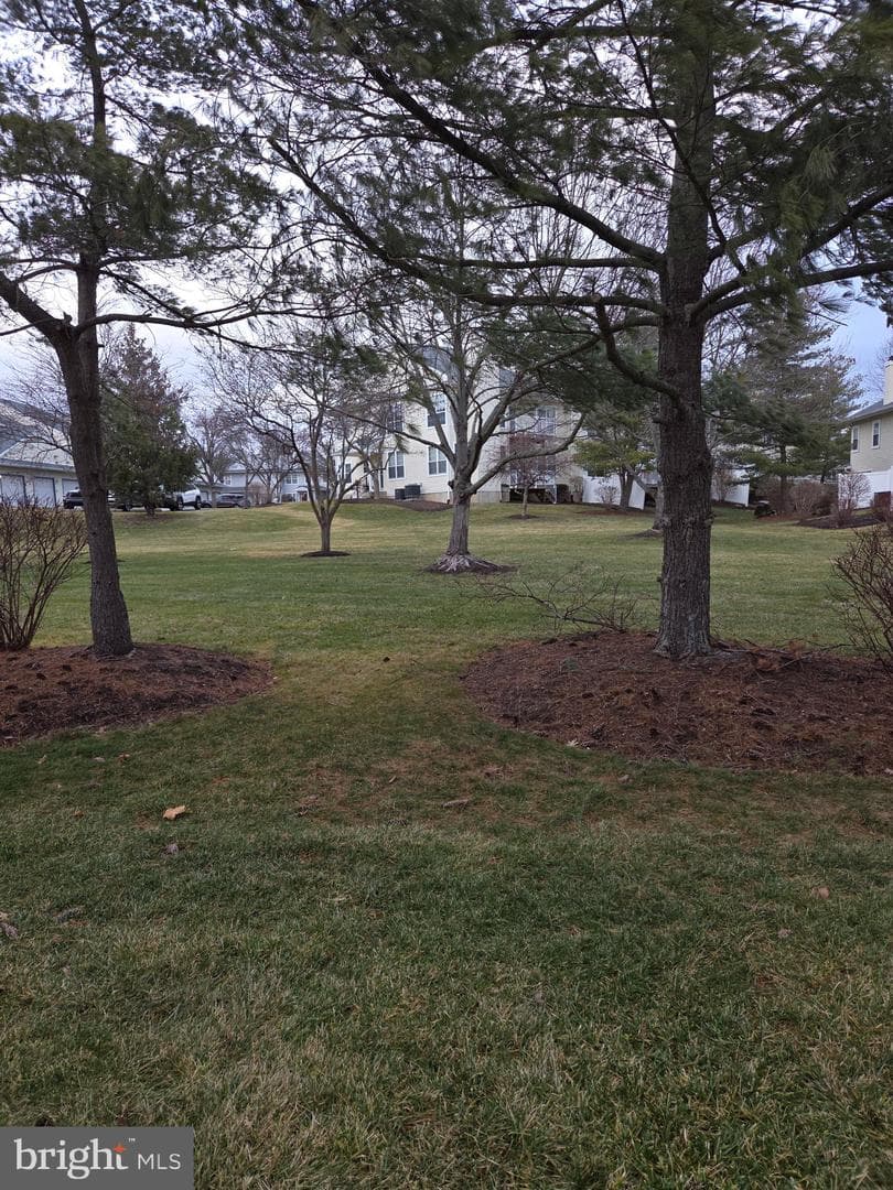 3406 Sterling Road photo 6