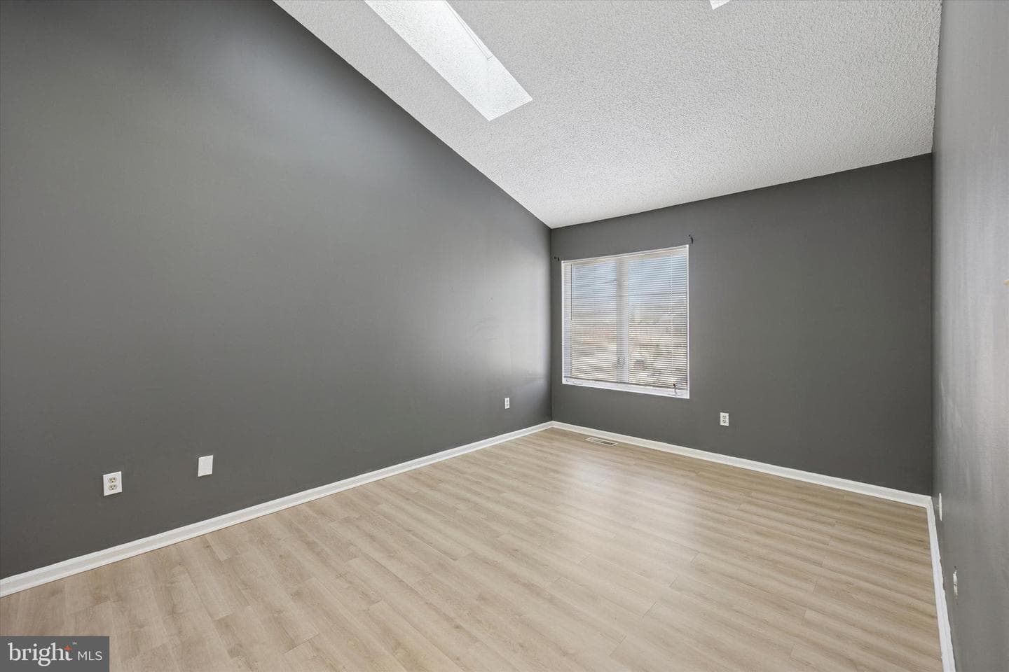 238 Colette Court photo 20
