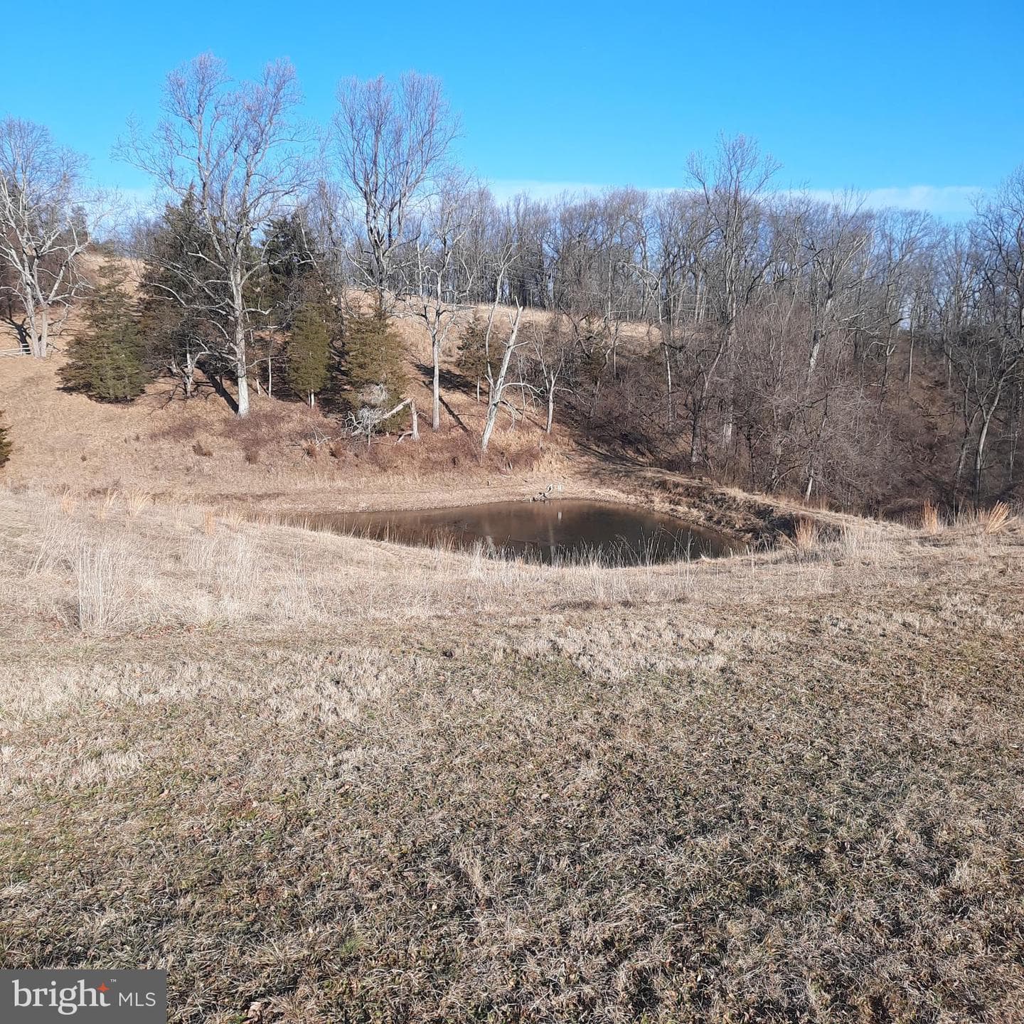408 Kintner Road photo 11