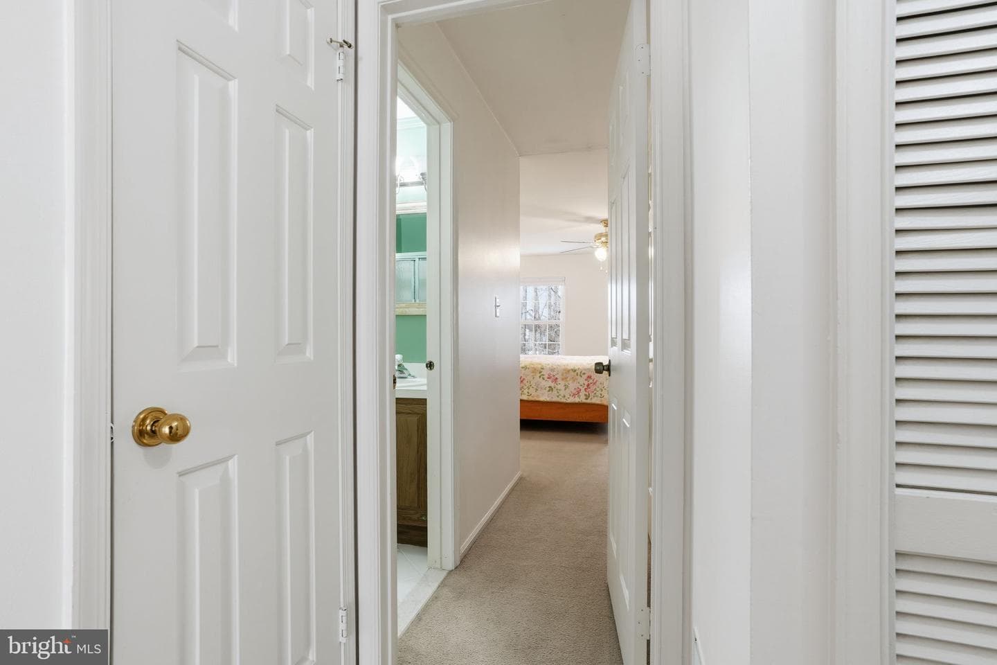 486 Cedar Hollow Drive photo 19