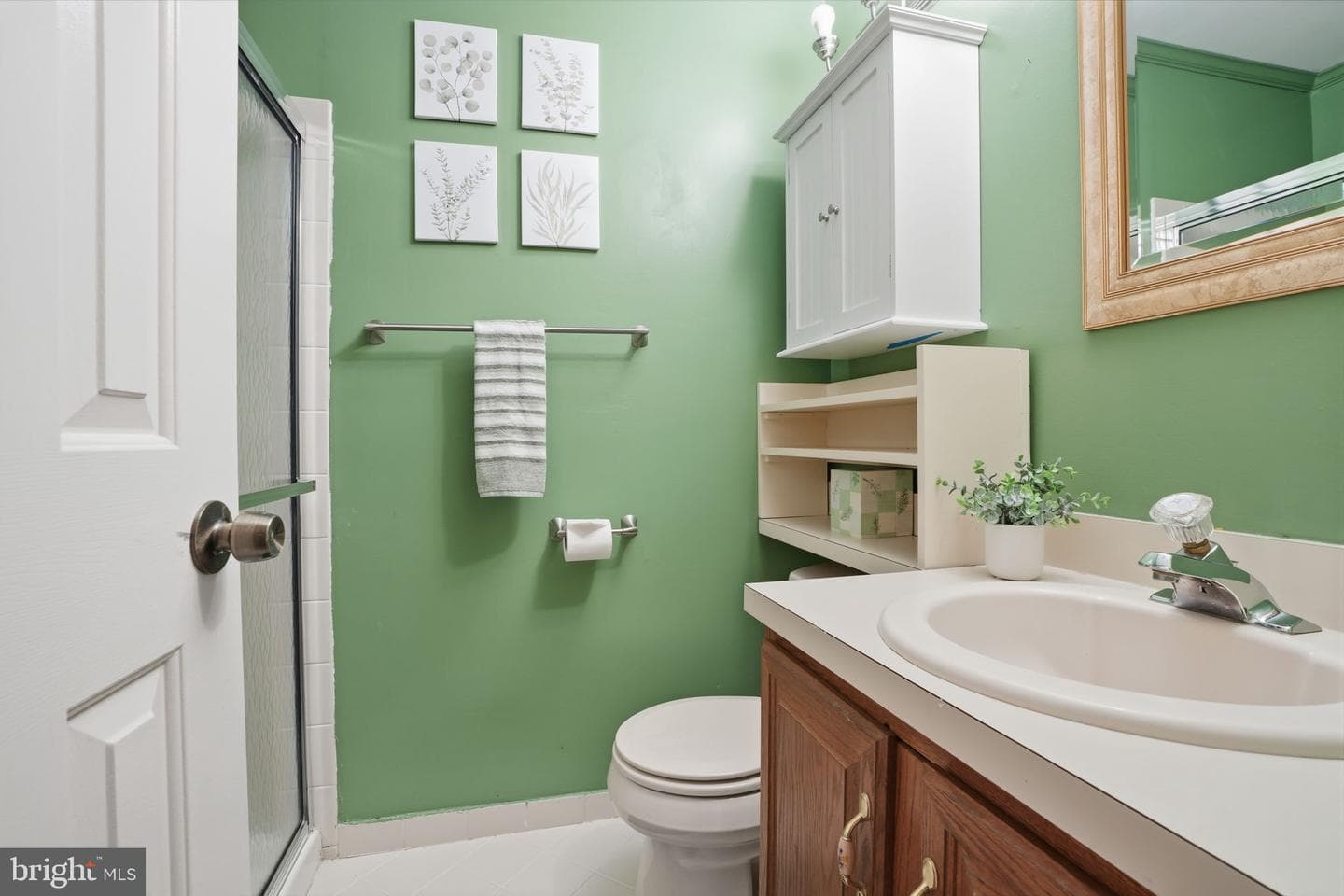 486 Cedar Hollow Drive photo 20