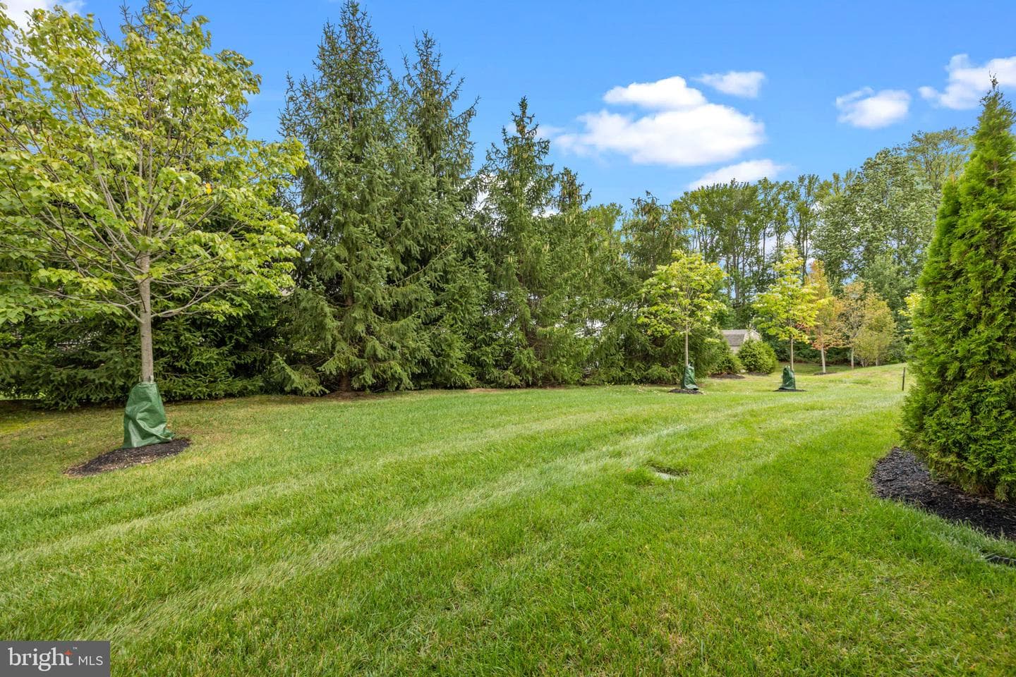 164 Tyler Way photo 27