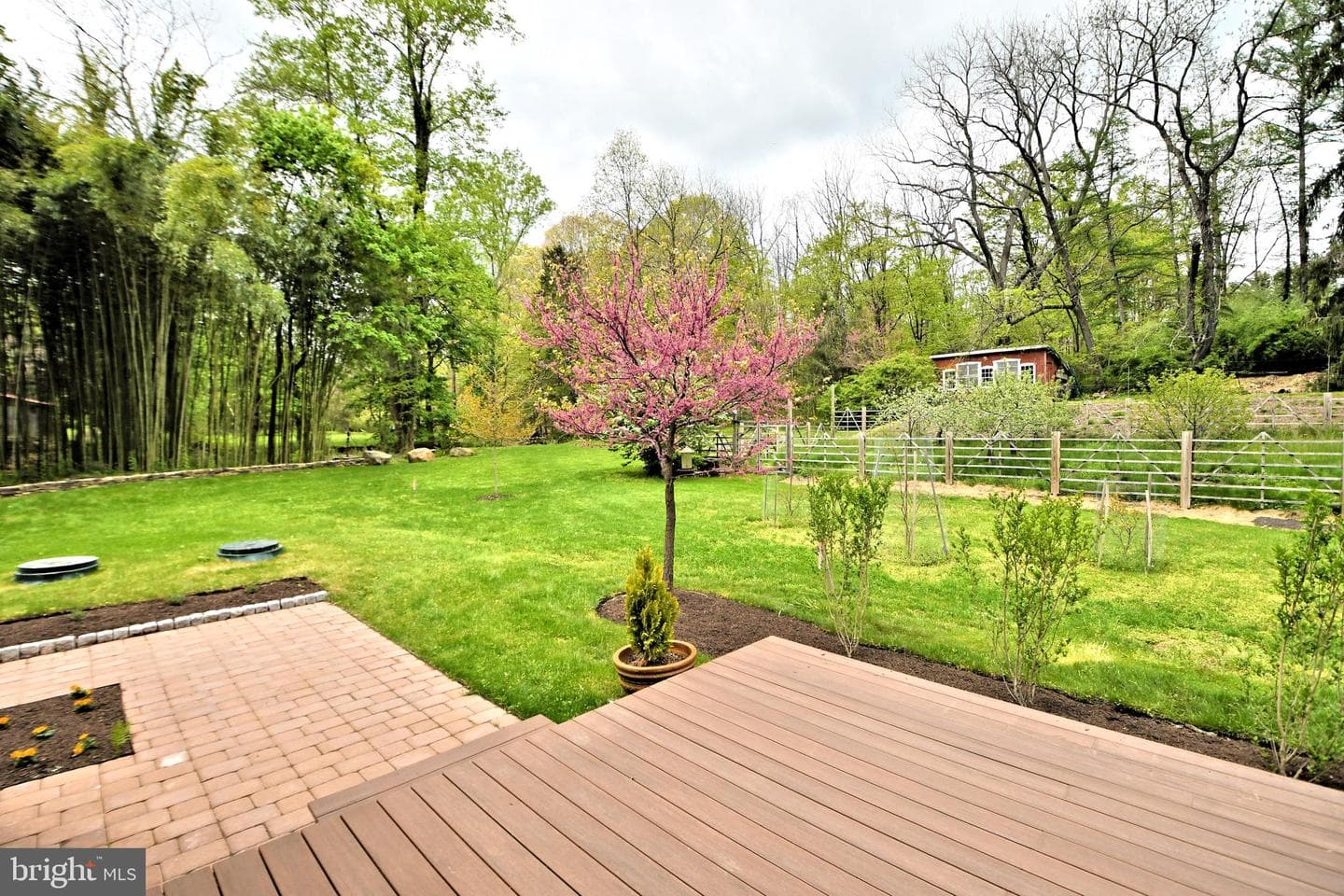 6163 Carversville Road photo 17