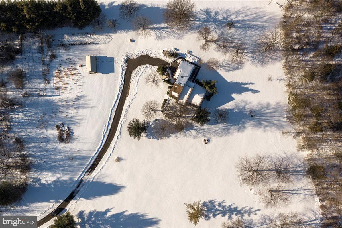 2096 Holicong Road photo 43