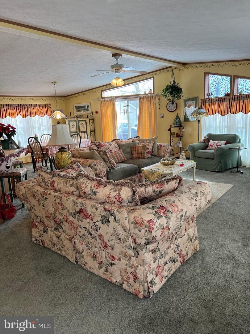 117 Conestoga Drive photo 2