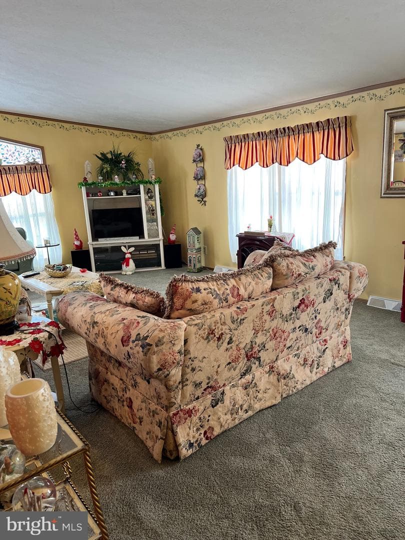 117 Conestoga Drive photo 4