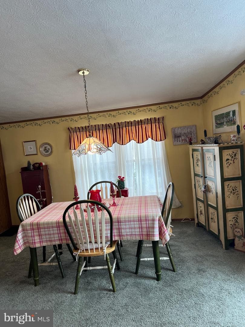 117 Conestoga Drive photo 8