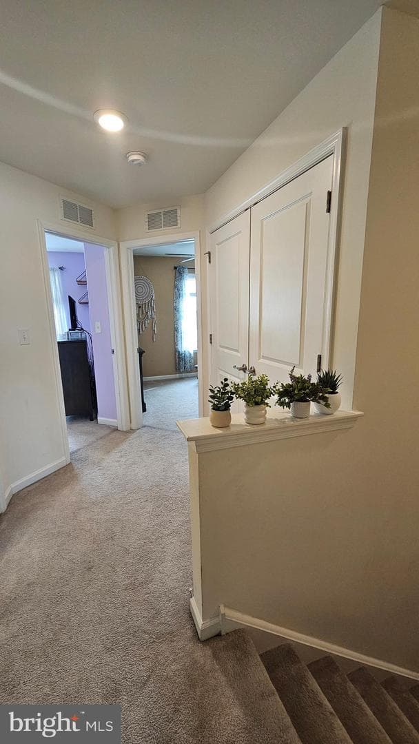 202 Pond View Court photo 21