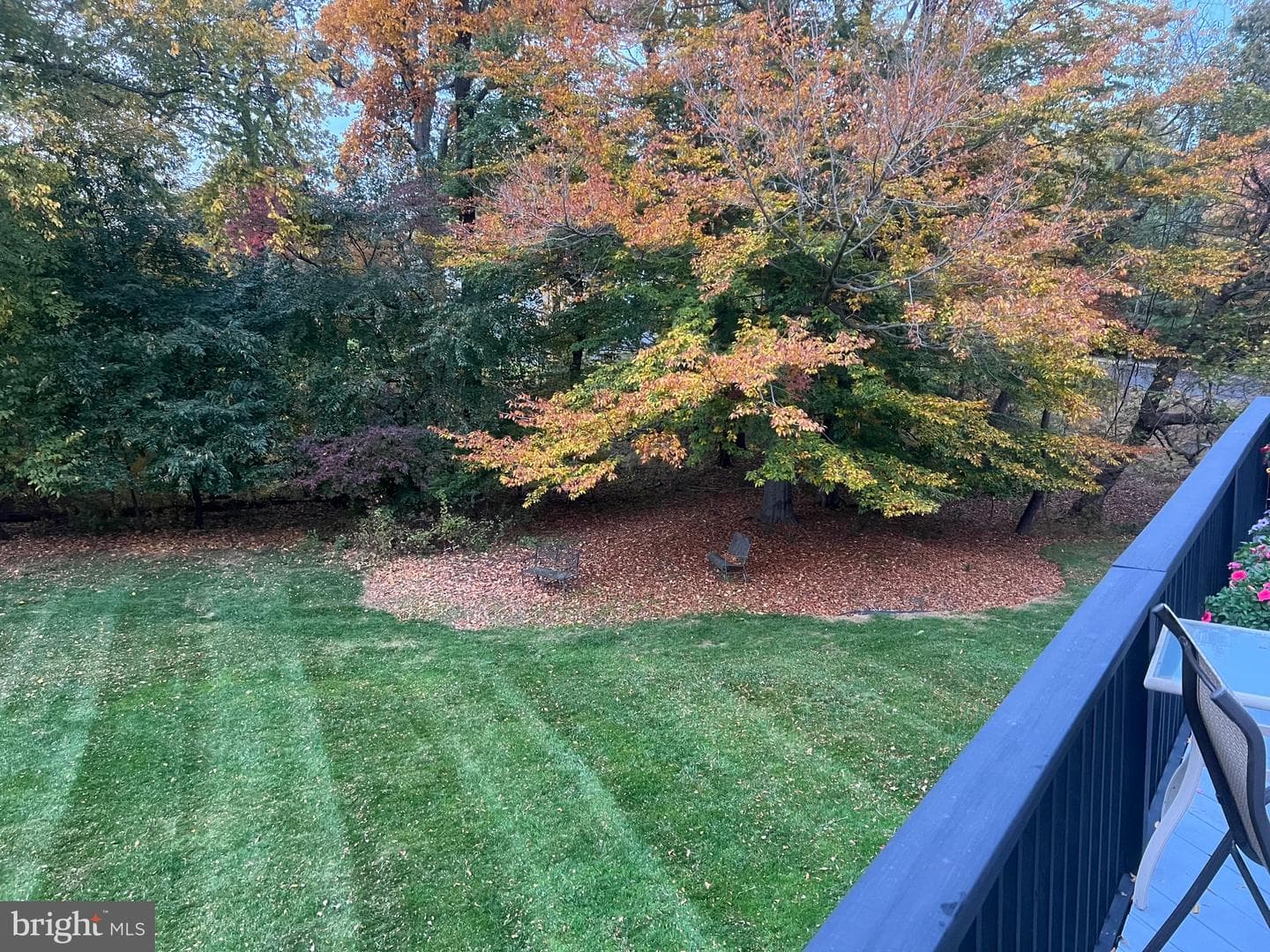 78 Rocking Horse Way photo 56