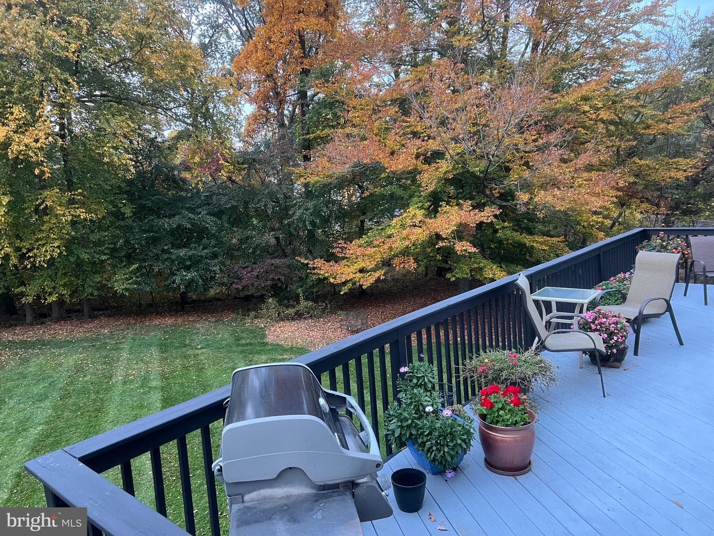 78 Rocking Horse Way photo 57