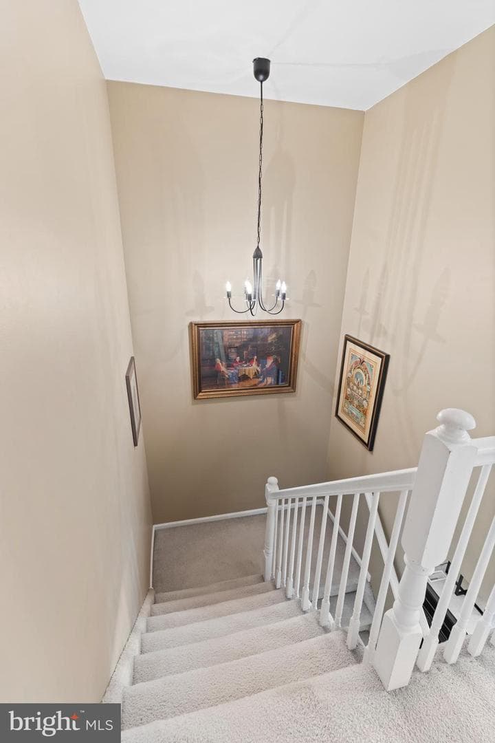 7705 Spruce Mill Drive photo 22