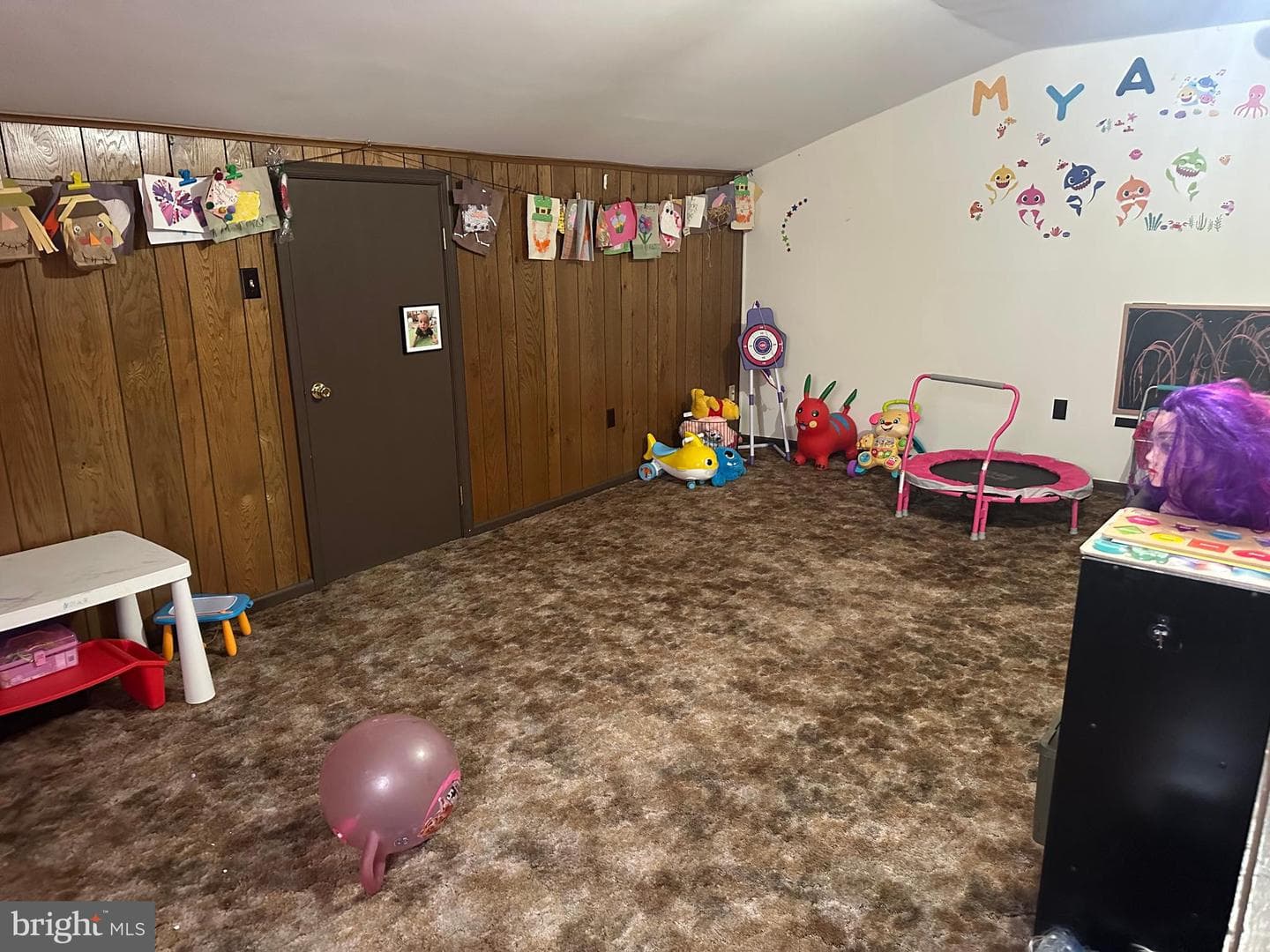 17 Naylor Court photo 23