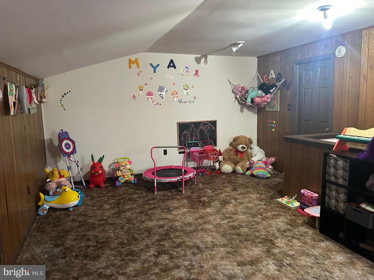 17 Naylor Court photo 24