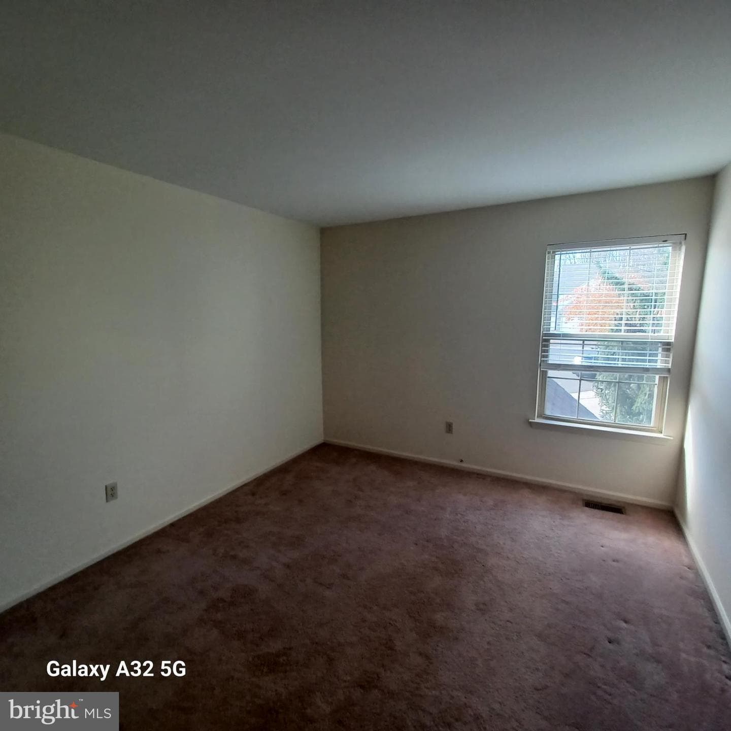 113 Glennbrook Court photo 16