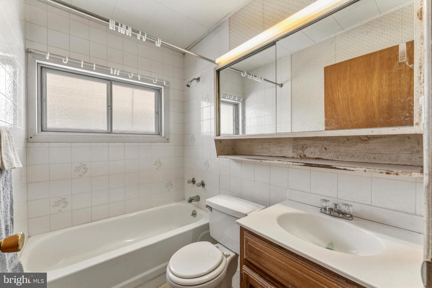 57 Palm Lane photo 24