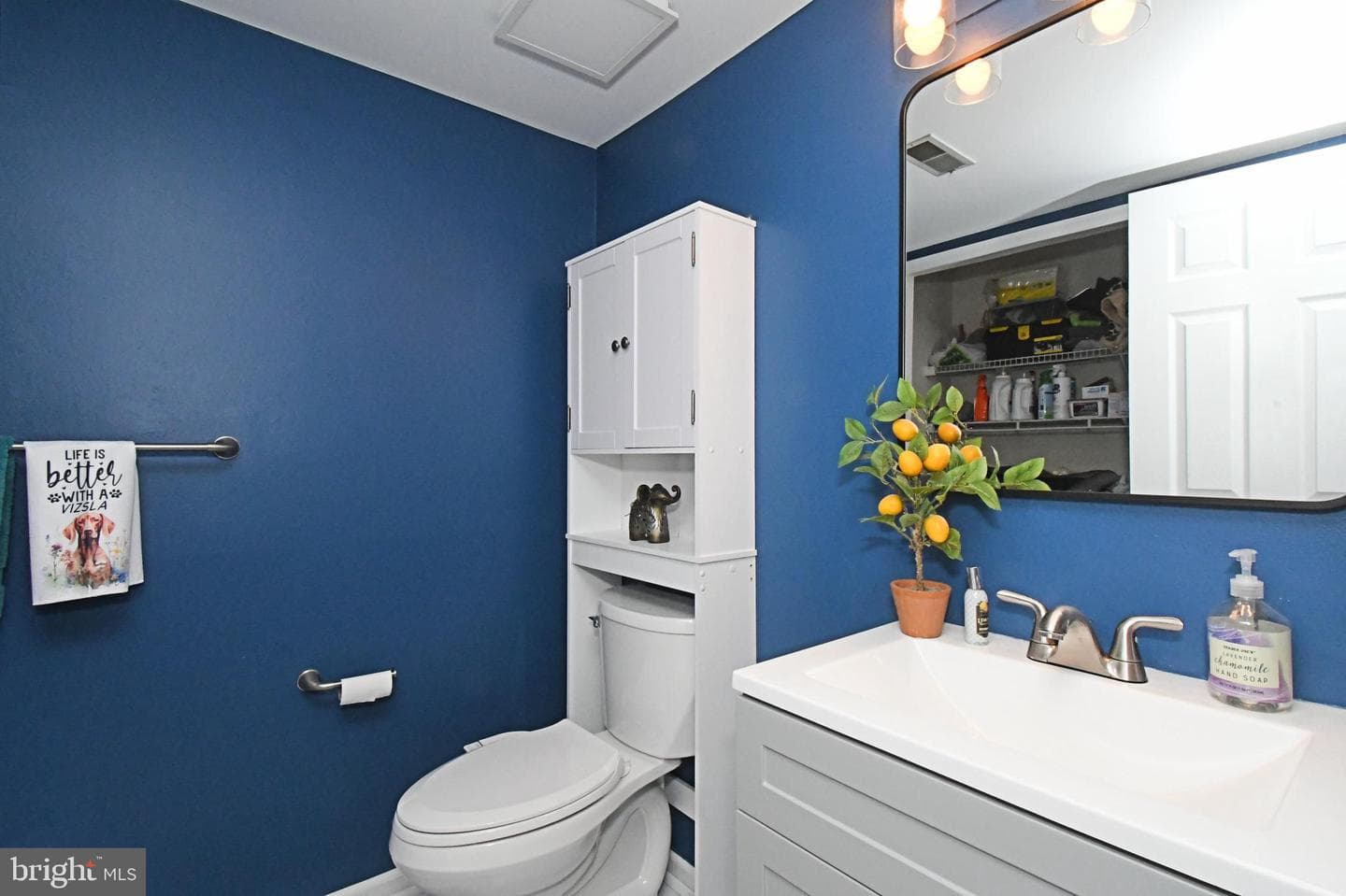 32 Skyview Way photo 19