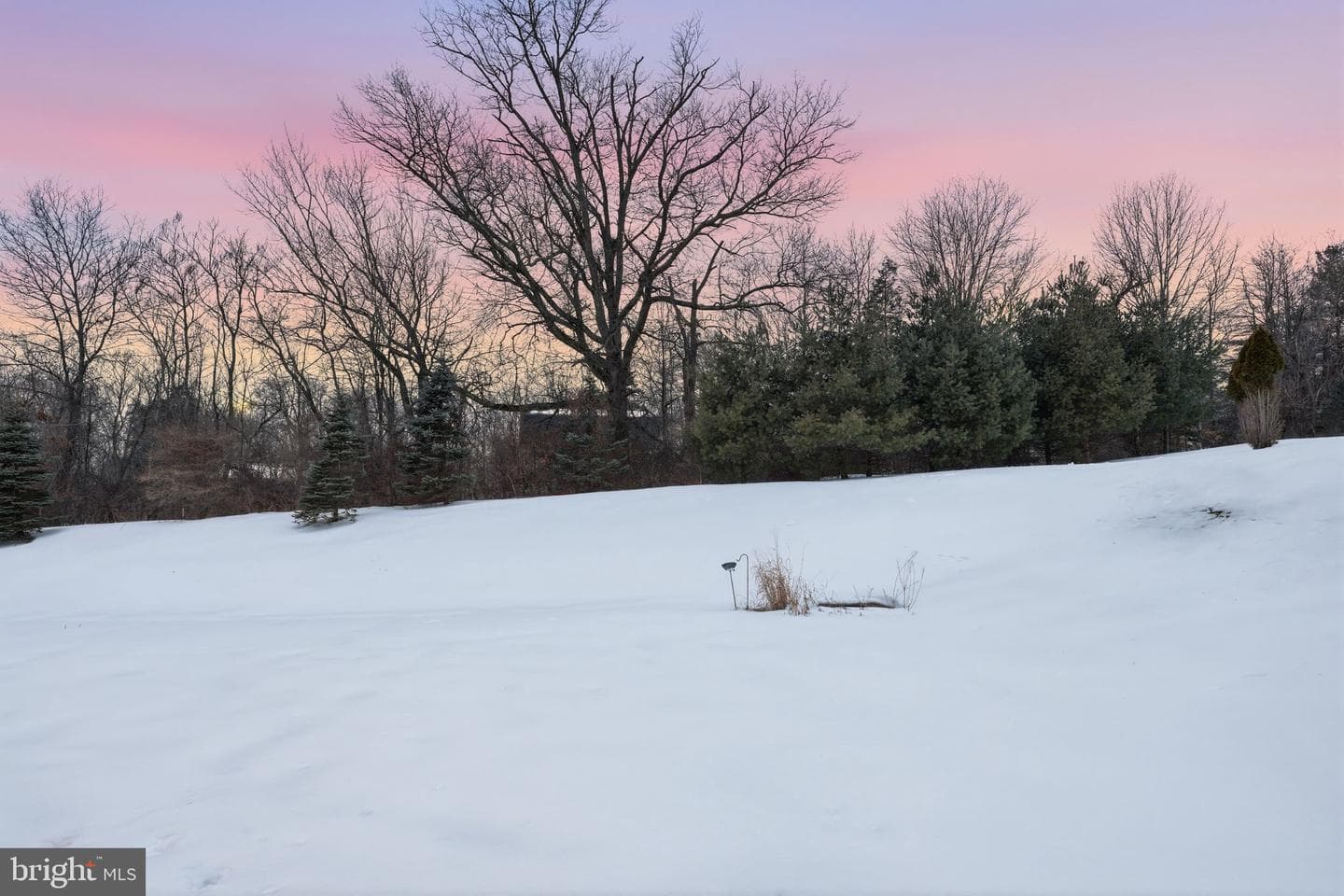 325 Mystic View Circle photo 44