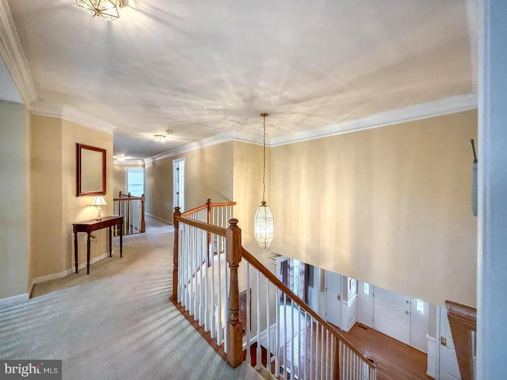 1198 Colts Lane photo 23