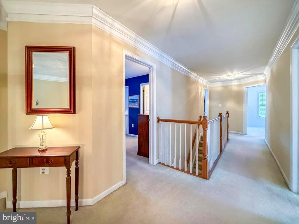 1198 Colts Lane photo 24
