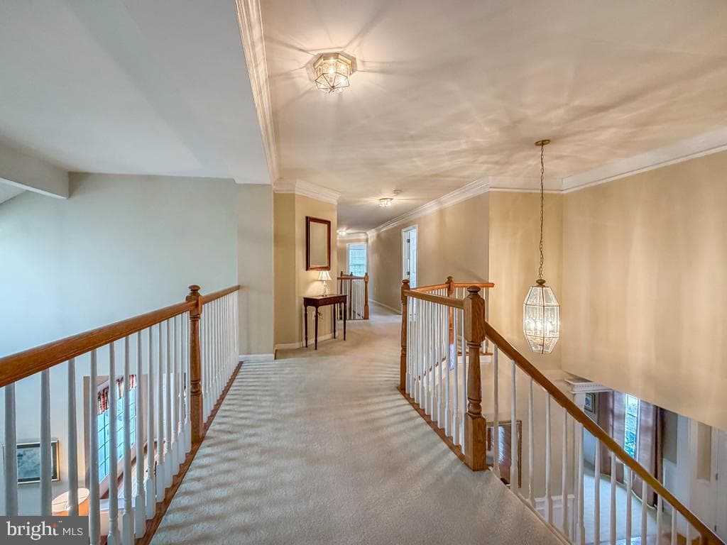 1198 Colts Lane photo 25