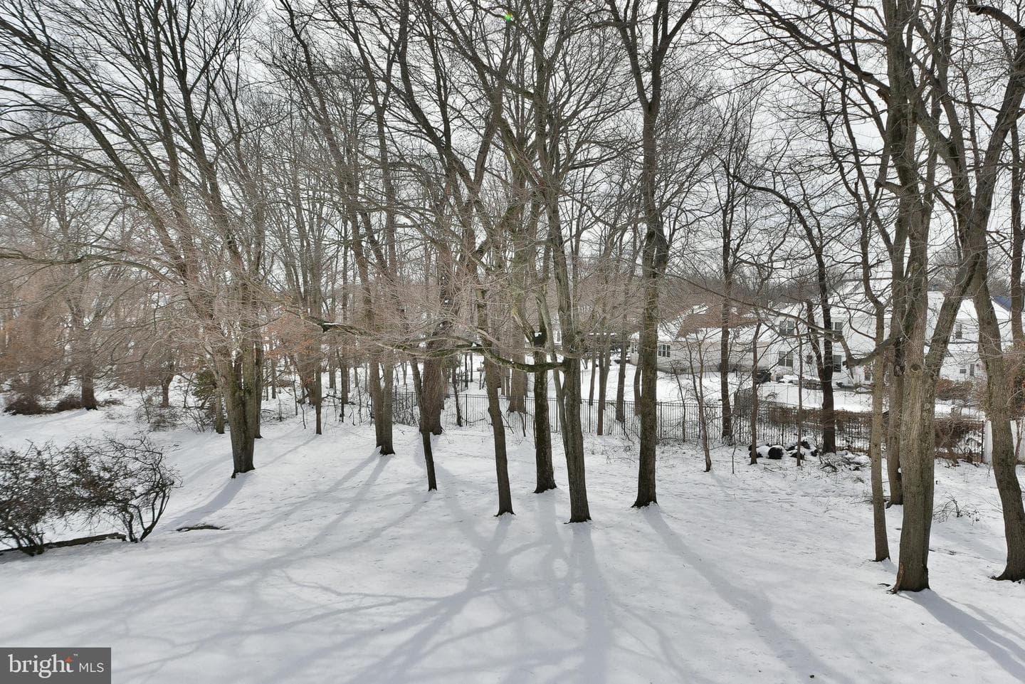 204 Hampton Crossing photo 8