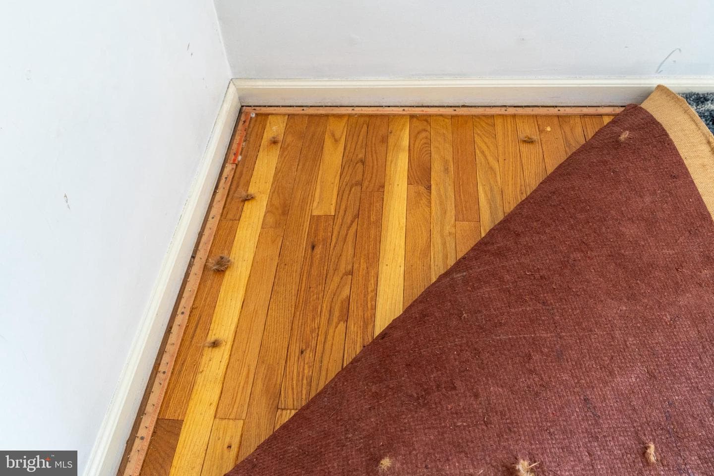 709 Autumn Drive photo 26