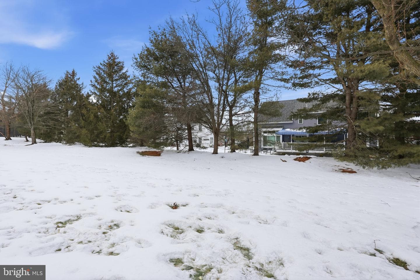 1644 Rockcress Drive photo 5