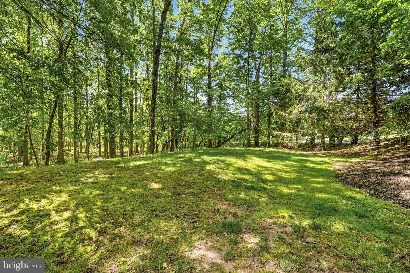 7 Mercer Gate Drive photo 43