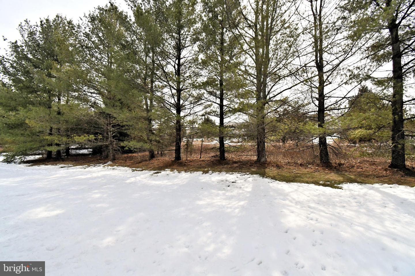 104 Dispatch Drive photo 15