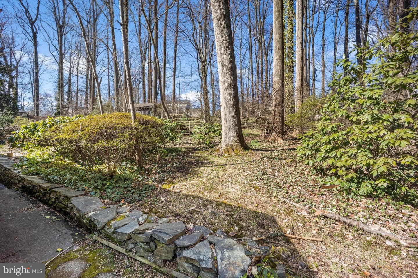 105 Vernon Lane photo 42
