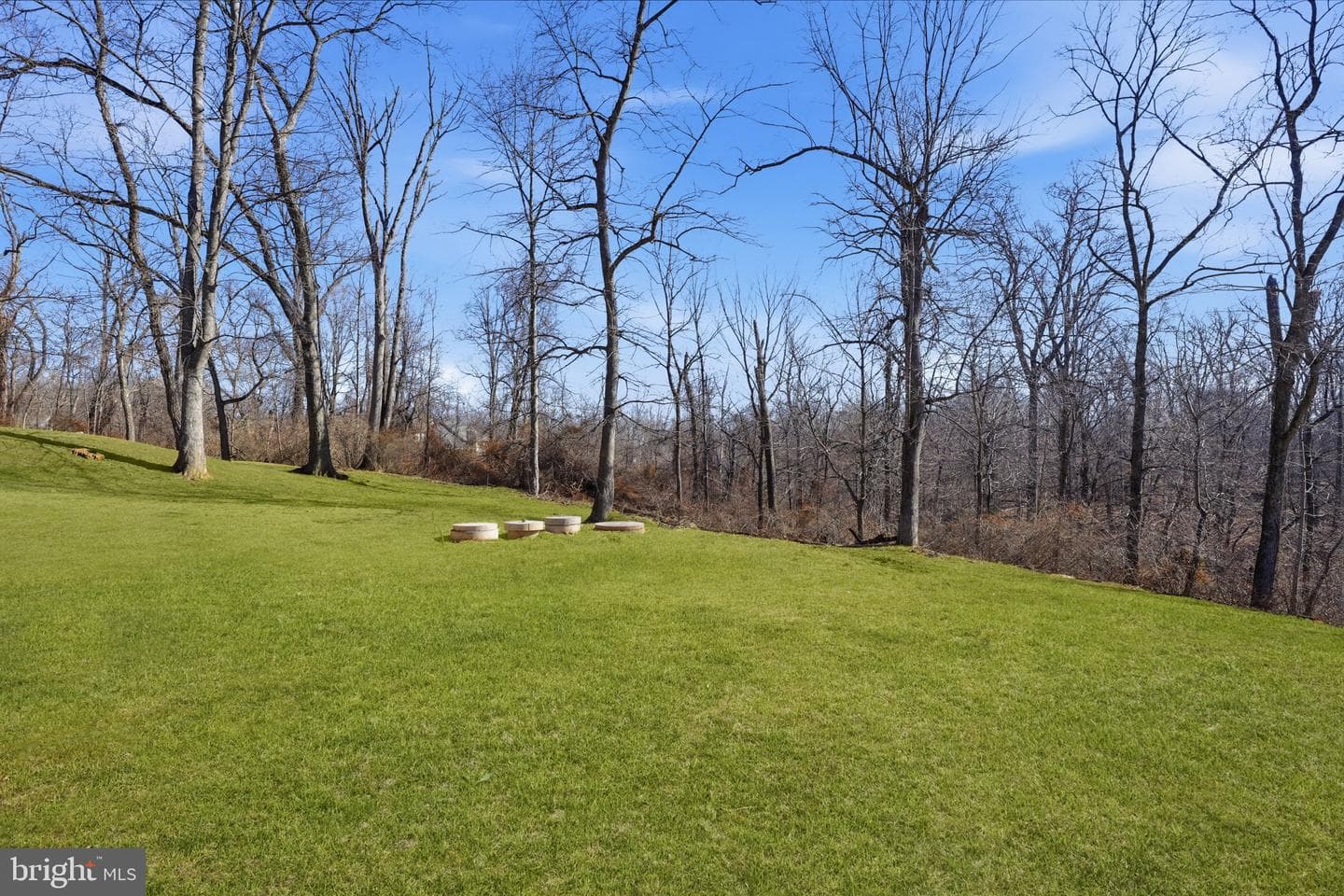 216 Bruce Road photo 37
