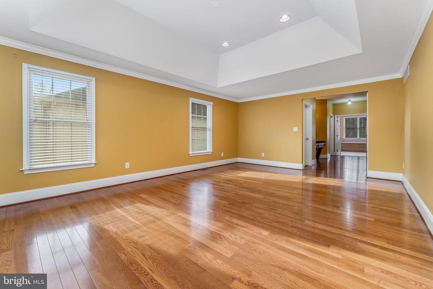 4203 Greenspire Lane photo 18