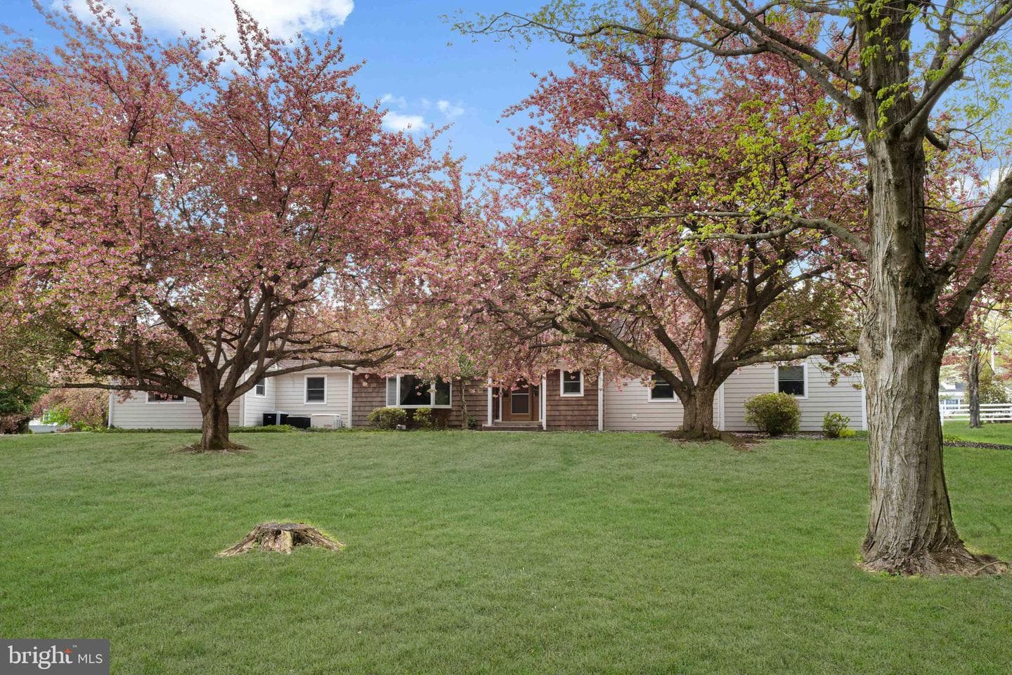 682 Whirlaway Drive photo 3