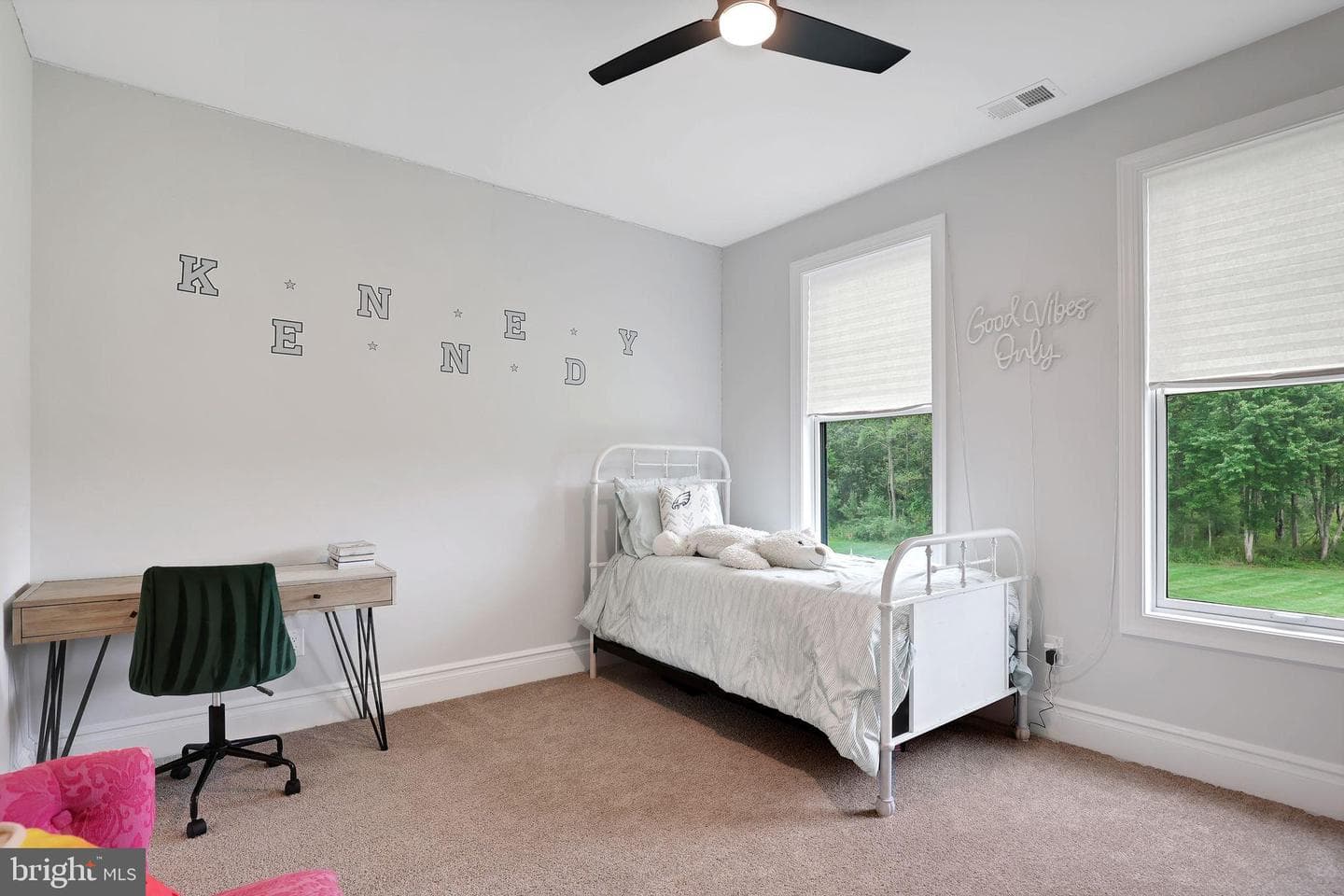 6934 Greene Meadow Lane photo 31