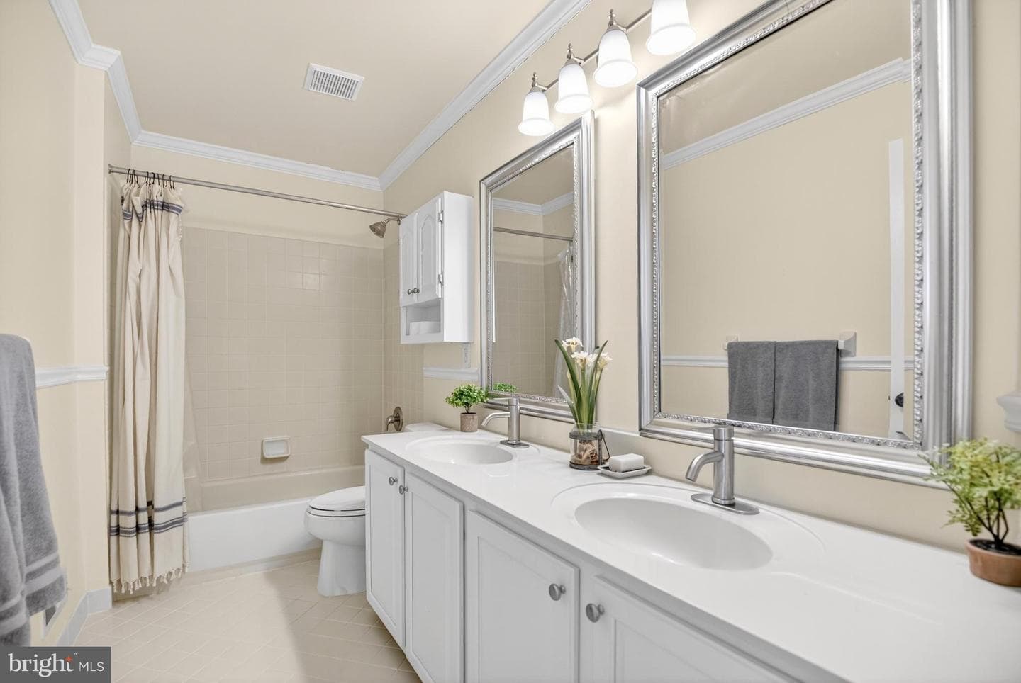 7 Alexander Way photo 43