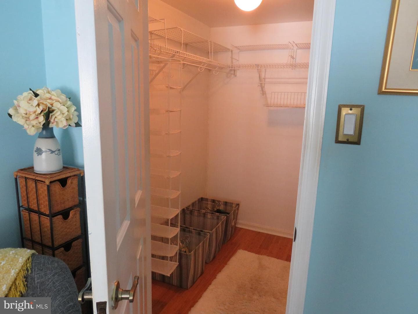 179 Raintree Court photo 25