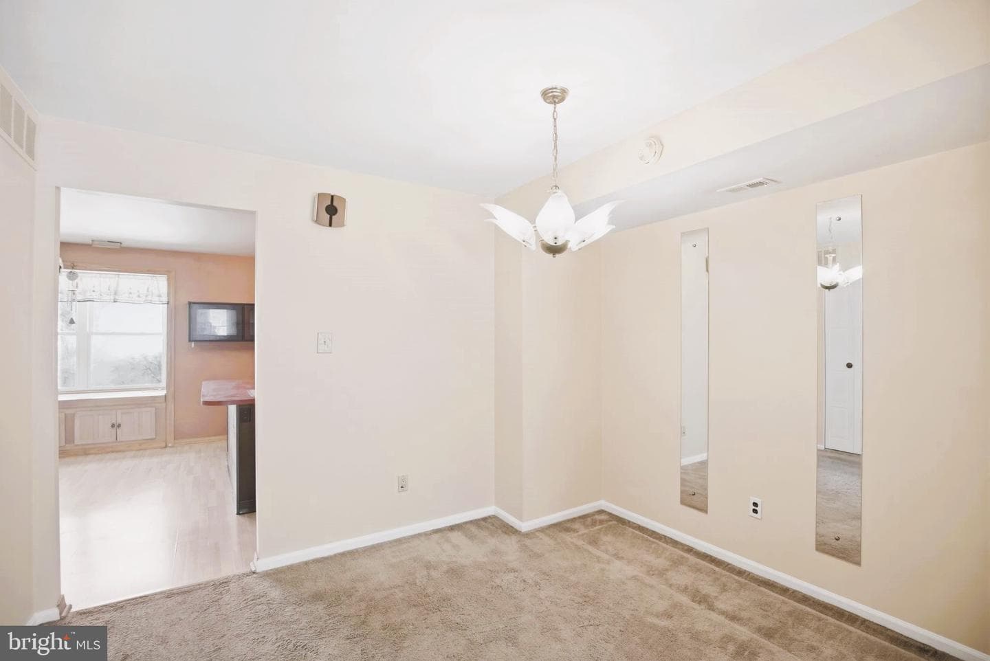 1009 Burnley Court photo 7