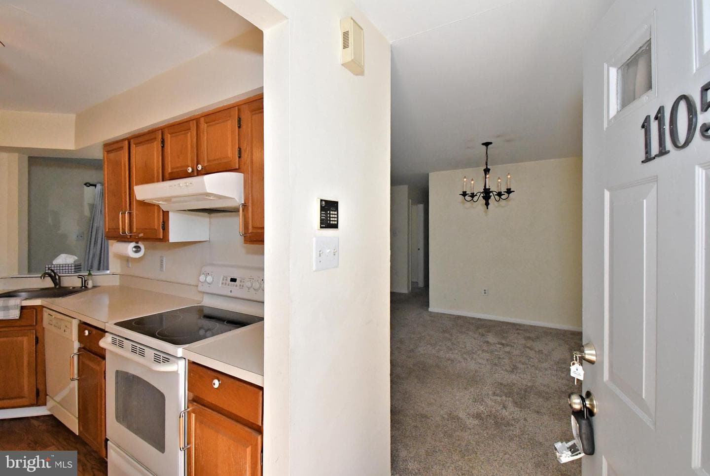 1105 Mews Drive #1105 photo 5