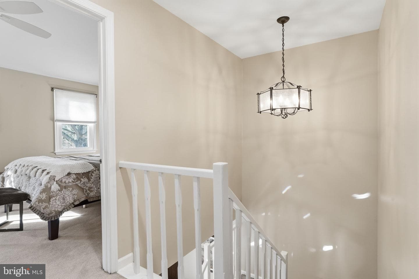 1565 Butterfly Court photo 23
