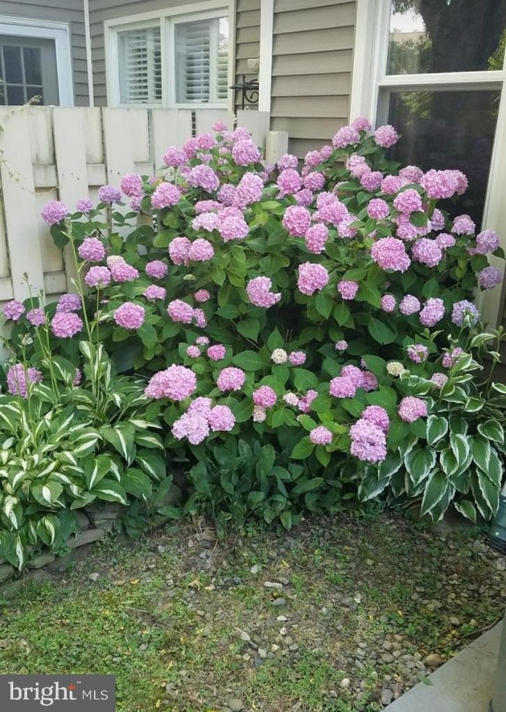 1565 Butterfly Court photo 35