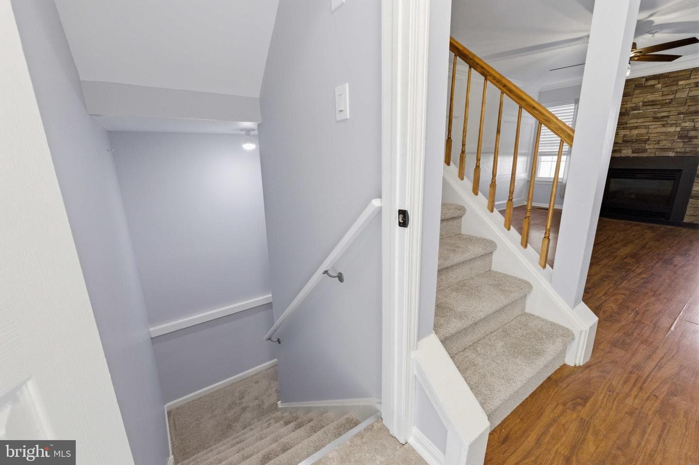 104 Shannon Court photo 22