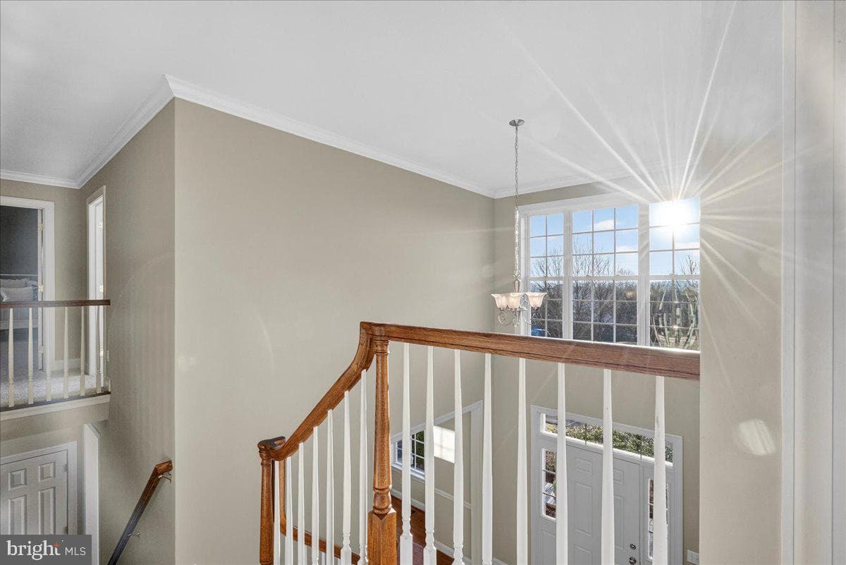 4215 Ferguson Drive photo 26