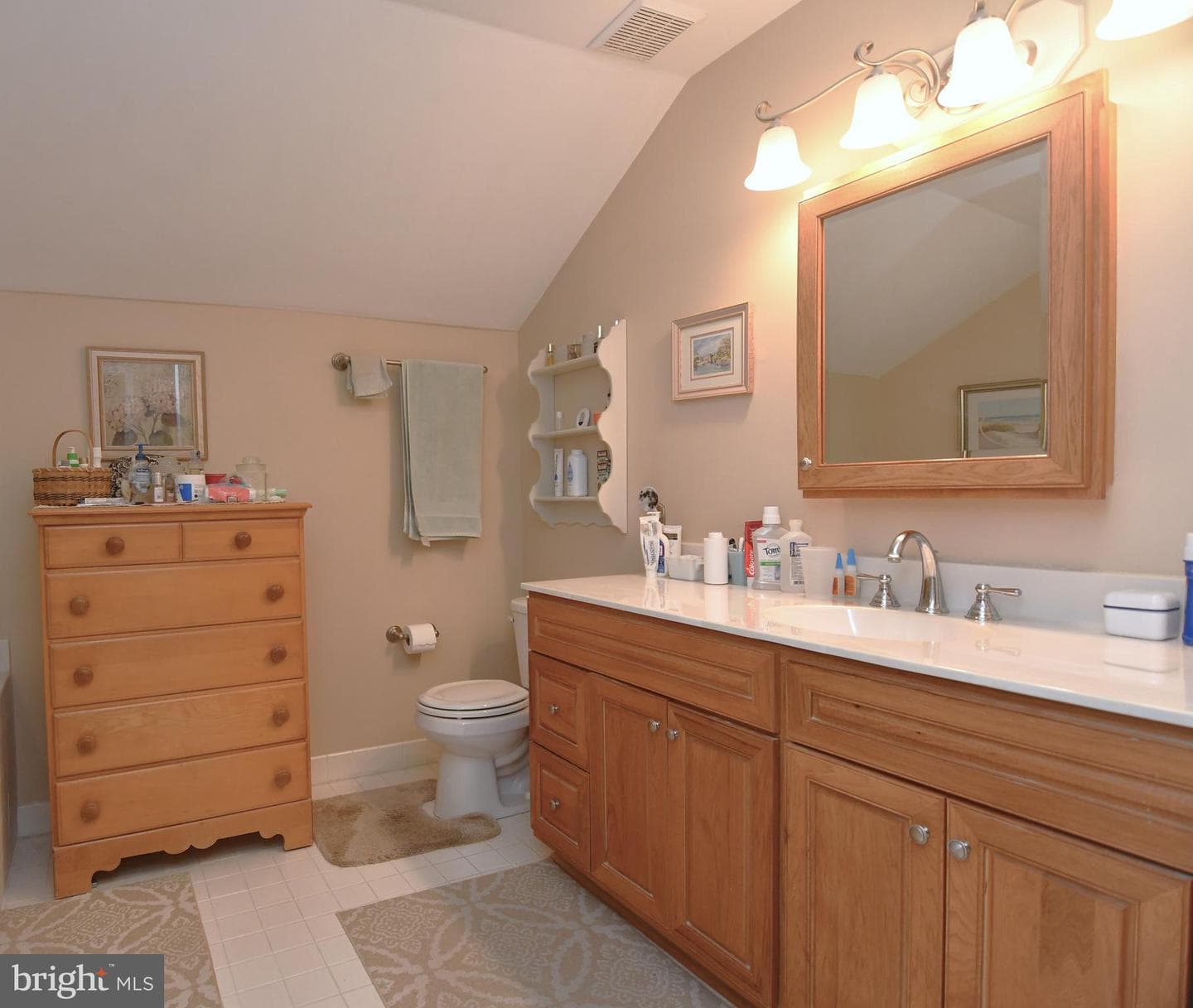 1646 Rockcress Drive photo 19