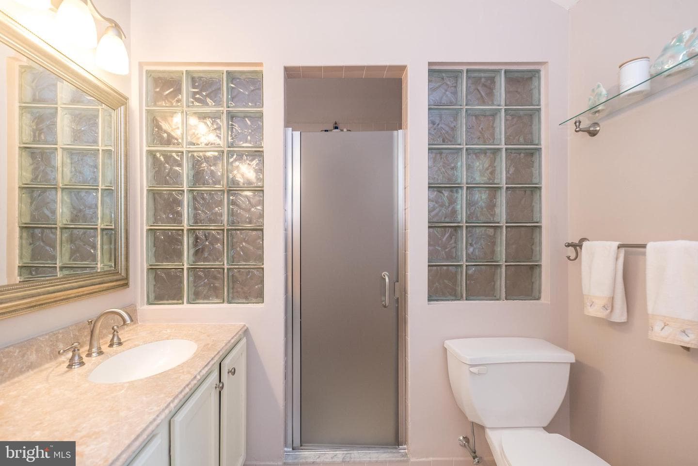 115 Saddle Brook Drive photo 49