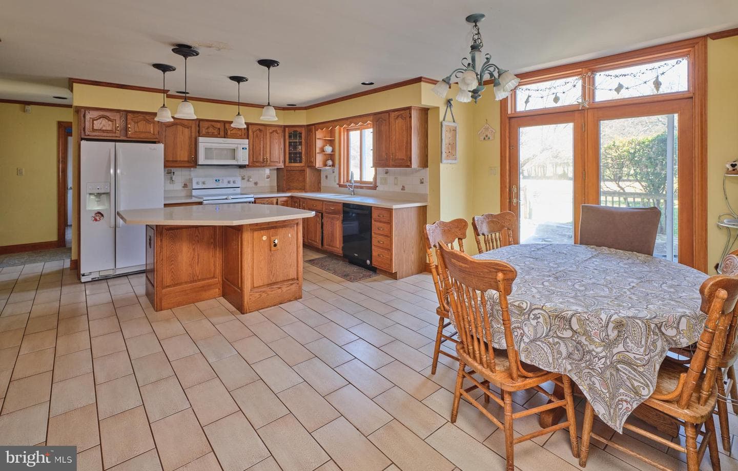 16 Timothy Drive photo 20