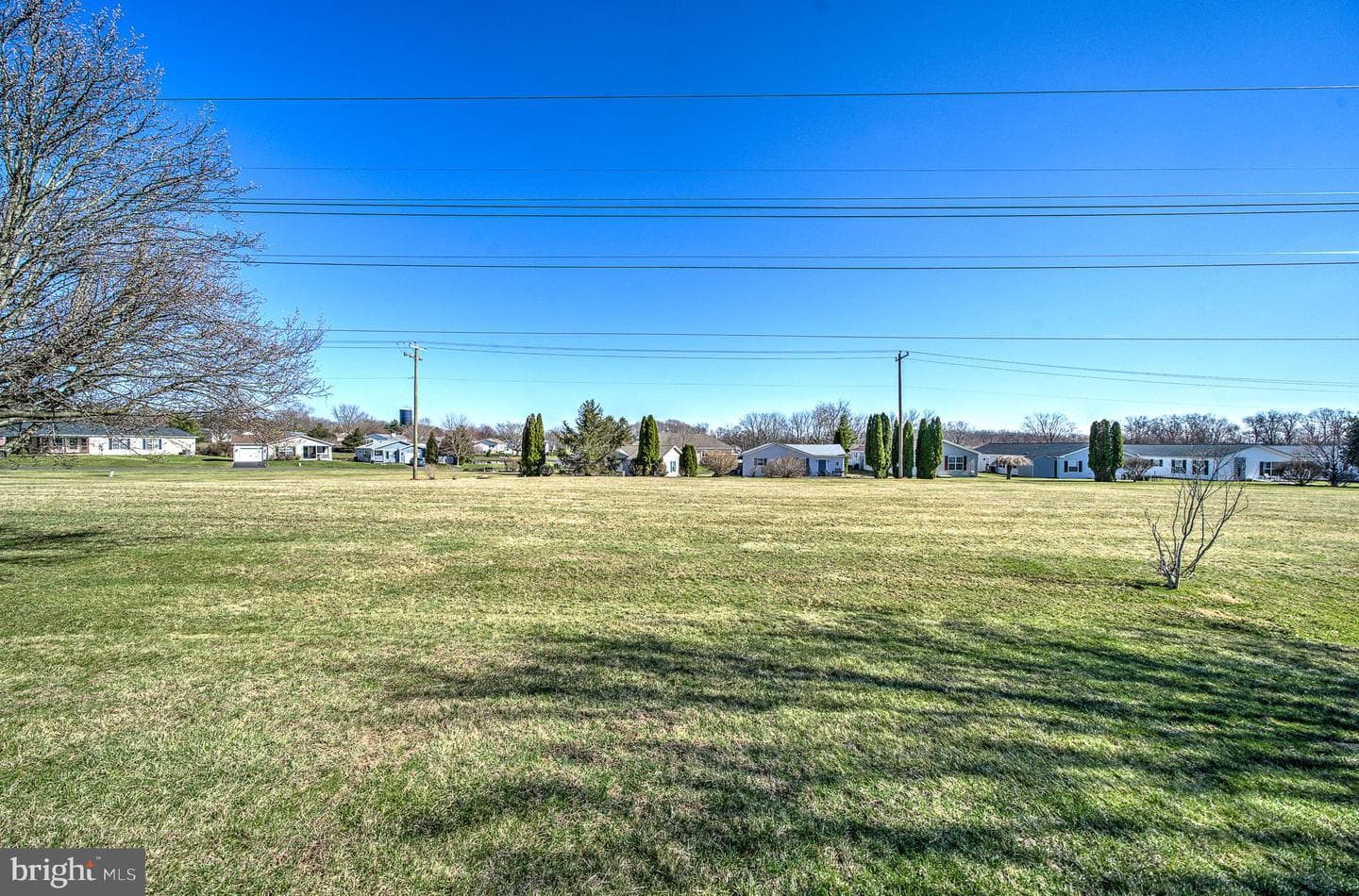 598 Walnut Court photo 5