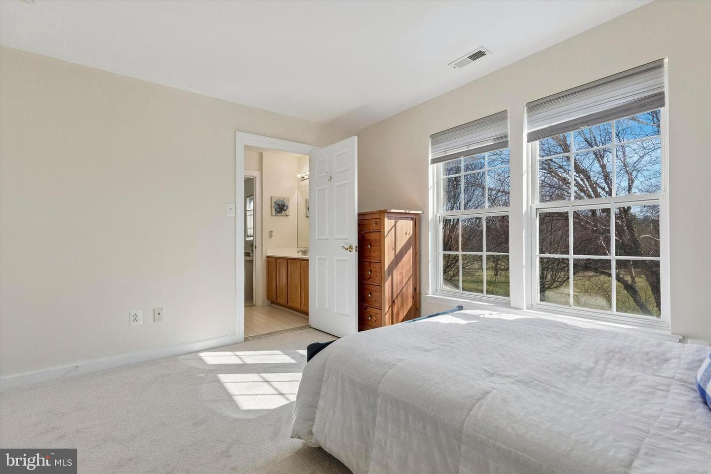 135 Equestrian Court photo 50