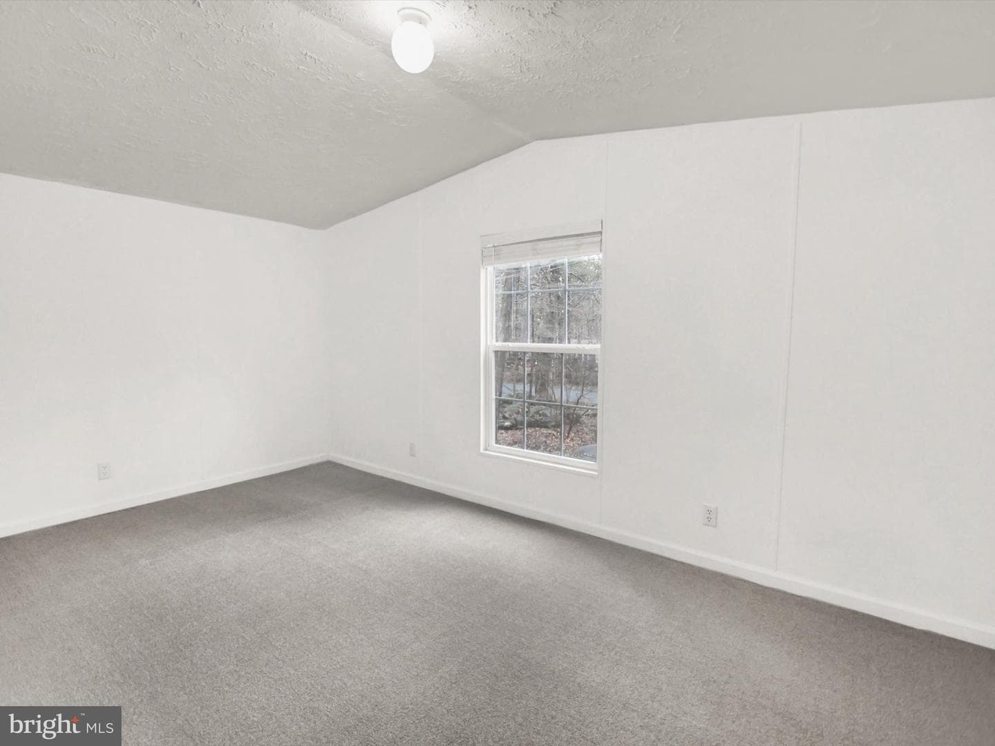 740 Lonely Cottage Road photo 19